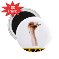 Ostrich T-shirtnope Not Today Ostrich 47 T-shirt 2 25  Magnets (100 Pack)  by EnriqueJohnson