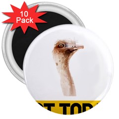 Ostrich T-shirtnope Not Today Ostrich 47 T-shirt 3  Magnets (10 Pack)  by EnriqueJohnson