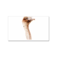 Ostrich T-shirtnope Not Today Ostrich 47 T-shirt Sticker (rectangular) by EnriqueJohnson