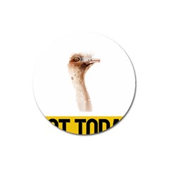 Ostrich T-shirtnope Not Today Ostrich 47 T-shirt Magnet 3  (round) by EnriqueJohnson