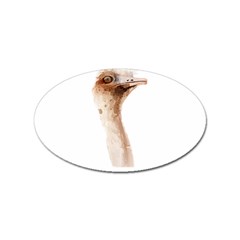 Ostrich T-shirtnope Not Today Ostrich 47 T-shirt Sticker Oval (100 Pack) by EnriqueJohnson