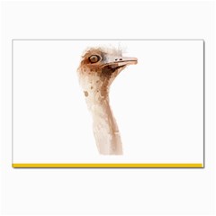 Ostrich T-shirtnope Not Today Ostrich 47 T-shirt Postcard 4 x 6  (pkg Of 10) by EnriqueJohnson