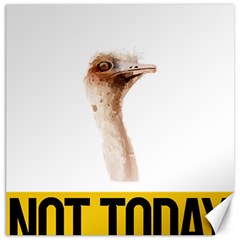 Ostrich T-shirtnope Not Today Ostrich 47 T-shirt Canvas 12  X 12  by EnriqueJohnson