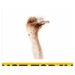 Ostrich T-shirtnope Not Today Ostrich 47 T-shirt Premium Plush Fleece Blanket (Medium) 60 x50  Blanket Front