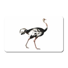 Ostrich T-shirtsteal Your Heart Ostrich 05 T-shirt Magnet (rectangular) by EnriqueJohnson