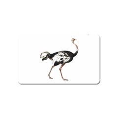 Ostrich T-shirtsteal Your Heart Ostrich 05 T-shirt Magnet (name Card) by EnriqueJohnson