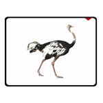 Ostrich T-shirtsteal Your Heart Ostrich 05 T-shirt Fleece Blanket (Small) 50 x40  Blanket Front