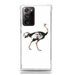 Ostrich T-shirtsteal Your Heart Ostrich 05 T-shirt Samsung Galaxy Note 20 Ultra Tpu Uv Case by EnriqueJohnson