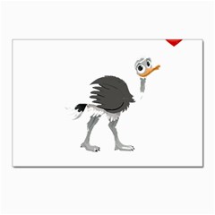 Ostrich T-shirtsteal Your Heart Ostrich 09 T-shirt Postcard 4 x 6  (pkg Of 10) by EnriqueJohnson