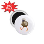 Ostrich T-shirtsteal Your Heart Ostrich 36 T-shirt 1.75  Magnets (100 pack)  Front