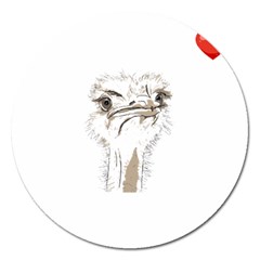 Ostrich T-shirtsteal Your Heart Ostrich 44 T-shirt Magnet 5  (round) by EnriqueJohnson