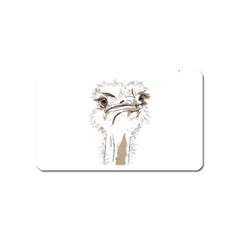 Ostrich T-shirtsteal Your Heart Ostrich 44 T-shirt Magnet (name Card) by EnriqueJohnson