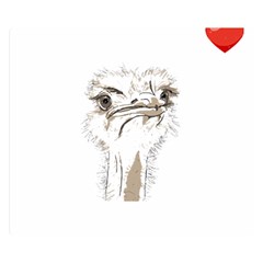 Ostrich T-shirtsteal Your Heart Ostrich 44 T-shirt Two Sides Premium Plush Fleece Blanket (small) by EnriqueJohnson