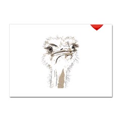 Ostrich T-shirtsteal Your Heart Ostrich 44 T-shirt Crystal Sticker (a4) by EnriqueJohnson