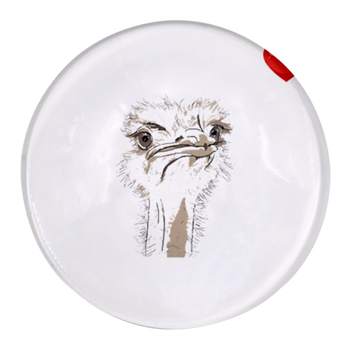 Ostrich T-shirtsteal Your Heart Ostrich 44 T-shirt Round Glass Fridge Magnet (4 pack)