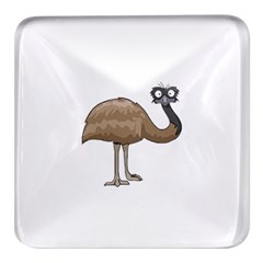 Ostrich T-shirtwhite Look Calm Ostrich 23 T-shirt (1) Square Glass Fridge Magnet (4 Pack)