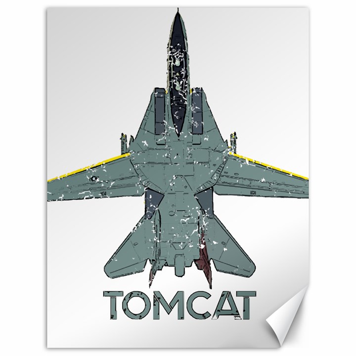 F14 Tomcat Fighter Jet T- Shirt F14 Tomcat Comic Drawing Quote T- Shirt (2) Canvas 12  x 16 