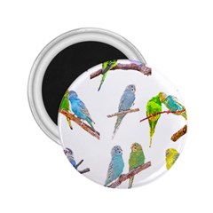 Parakeet T-shirtlots Of Colorful Parakeets - Cute Little Birds T-shirt 2.25  Magnets