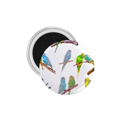 Parakeet T-shirtlots Of Colorful Parakeets - Cute Little Birds T-shirt 1.75  Magnets