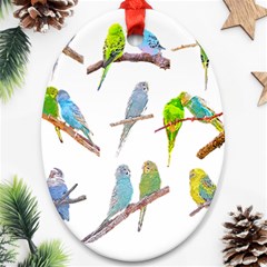 Parakeet T-shirtlots Of Colorful Parakeets - Cute Little Birds T-shirt Ornament (Oval)