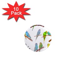 Parakeet T-shirtlots Of Colorful Parakeets - Cute Little Birds T-shirt 1  Mini Magnet (10 pack) 