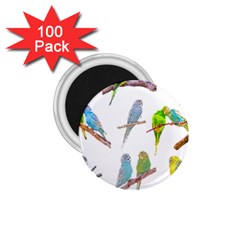 Parakeet T-shirtlots Of Colorful Parakeets - Cute Little Birds T-shirt 1 75  Magnets (100 Pack)  by EnriqueJohnson