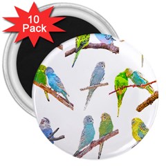 Parakeet T-shirtlots Of Colorful Parakeets - Cute Little Birds T-shirt 3  Magnets (10 pack) 