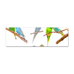 Parakeet T-shirtlots Of Colorful Parakeets - Cute Little Birds T-shirt Sticker (Bumper)