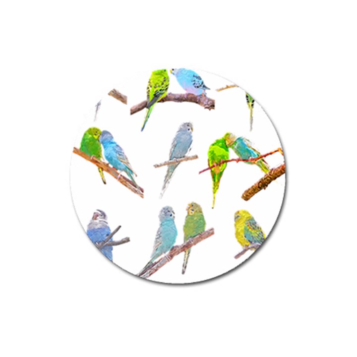 Parakeet T-shirtlots Of Colorful Parakeets - Cute Little Birds T-shirt Magnet 3  (Round)