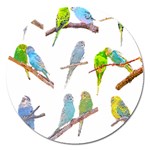 Parakeet T-shirtlots Of Colorful Parakeets - Cute Little Birds T-shirt Magnet 5  (Round) Front