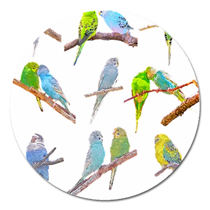 Parakeet T-shirtlots Of Colorful Parakeets - Cute Little Birds T-shirt Magnet 5  (Round)