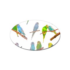 Parakeet T-shirtlots Of Colorful Parakeets - Cute Little Birds T-shirt Sticker Oval (100 pack)