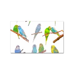 Parakeet T-shirtlots Of Colorful Parakeets - Cute Little Birds T-shirt Sticker Rectangular (10 pack)