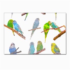 Parakeet T-shirtlots Of Colorful Parakeets - Cute Little Birds T-shirt Postcard 4 x 6  (Pkg of 10)