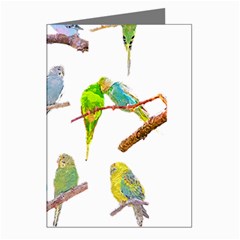 Parakeet T-shirtlots Of Colorful Parakeets - Cute Little Birds T-shirt Greeting Cards (Pkg of 8)