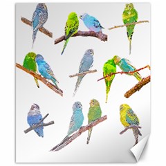 Parakeet T-shirtlots Of Colorful Parakeets - Cute Little Birds T-shirt Canvas 8  x 10 