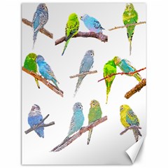 Parakeet T-shirtlots Of Colorful Parakeets - Cute Little Birds T-shirt Canvas 12  x 16 