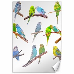 Parakeet T-shirtlots Of Colorful Parakeets - Cute Little Birds T-shirt Canvas 12  x 18 