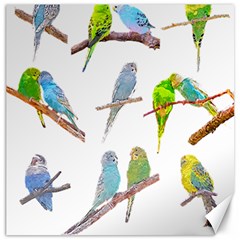 Parakeet T-shirtlots Of Colorful Parakeets - Cute Little Birds T-shirt Canvas 20  x 20 