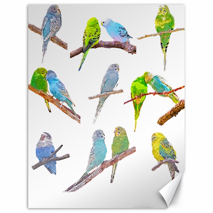 Parakeet T-shirtlots Of Colorful Parakeets - Cute Little Birds T-shirt Canvas 18  x 24 