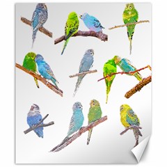 Parakeet T-shirtlots Of Colorful Parakeets - Cute Little Birds T-shirt Canvas 20  x 24 