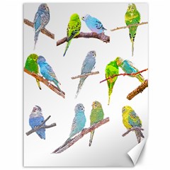 Parakeet T-shirtlots Of Colorful Parakeets - Cute Little Birds T-shirt Canvas 36  x 48 