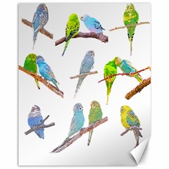 Parakeet T-shirtlots Of Colorful Parakeets - Cute Little Birds T-shirt Canvas 11  X 14  by EnriqueJohnson