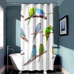 Parakeet T-shirtlots Of Colorful Parakeets - Cute Little Birds T-shirt Shower Curtain 36  x 72  (Stall) 