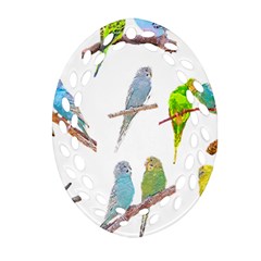 Parakeet T-shirtlots Of Colorful Parakeets - Cute Little Birds T-shirt Ornament (oval Filigree) by EnriqueJohnson