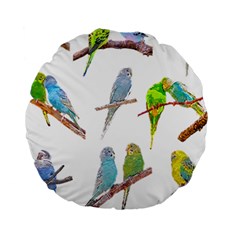 Parakeet T-shirtlots Of Colorful Parakeets - Cute Little Birds T-shirt Standard 15  Premium Round Cushions