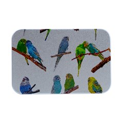 Parakeet T-shirtlots Of Colorful Parakeets - Cute Little Birds T-shirt Open Lid Metal Box (Silver)  