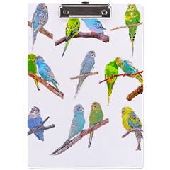 Parakeet T-shirtlots Of Colorful Parakeets - Cute Little Birds T-shirt A4 Acrylic Clipboard