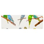 Parakeet T-shirtlots Of Colorful Parakeets - Cute Little Birds T-shirt Banner and Sign 6  x 2  Front