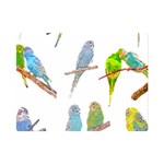 Parakeet T-shirtlots Of Colorful Parakeets - Cute Little Birds T-shirt Premium Plush Fleece Blanket (Mini) 35 x27  Blanket Front